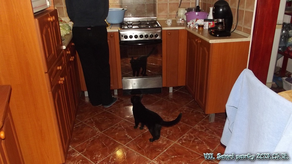 VII. SanciParty  013.jpg